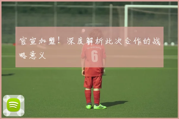 官宣加盟!深度解析此次合作的战略意义