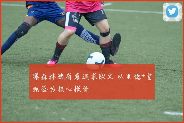 曝森林狼有意追求欧文 以里德+首轮签为核心报价