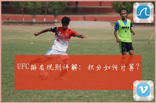 UFC排名规则详解:积分如何计算?