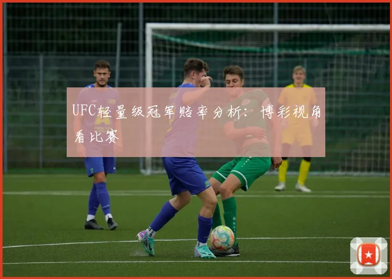 UFC轻量级冠军赔率分析：博彩视角看比赛