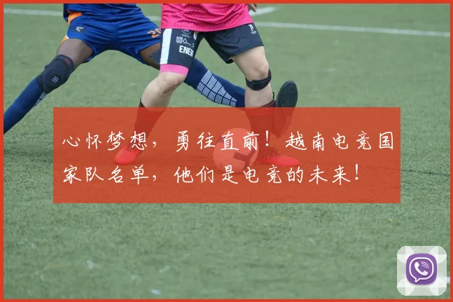 心怀梦想,勇往直前!越南电竞国家队名单,他们是电竞的未来!